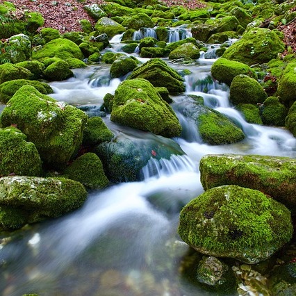 Percorsi d'acqua