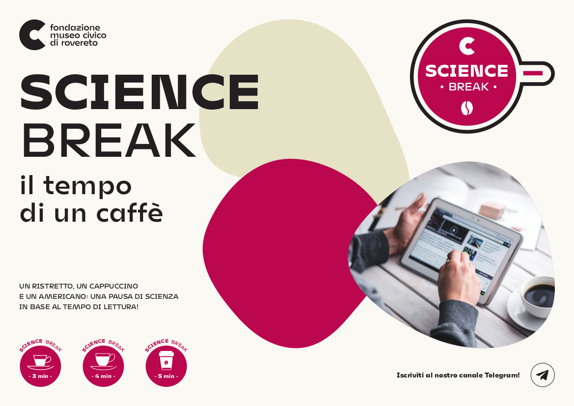 science break