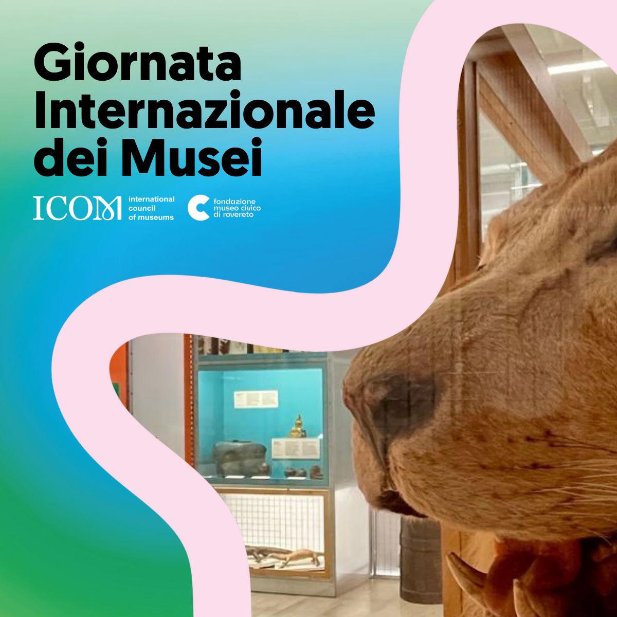 Un insolito viaggio dal Museo al mondo - speciale Museum Day