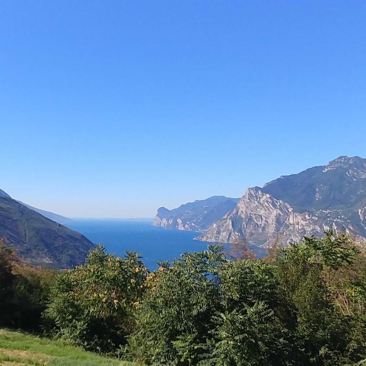 il castagneto di Nago