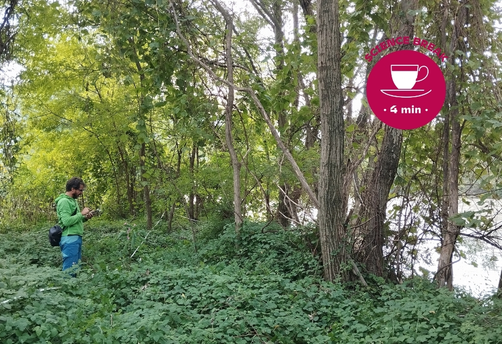 SB_I boschi lungo il fiume Adige_1024X701