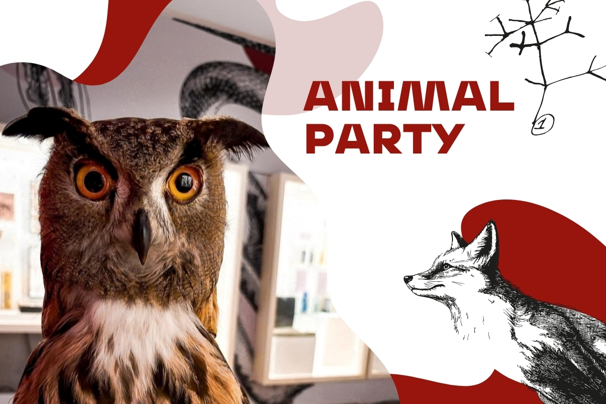 Animal-Party