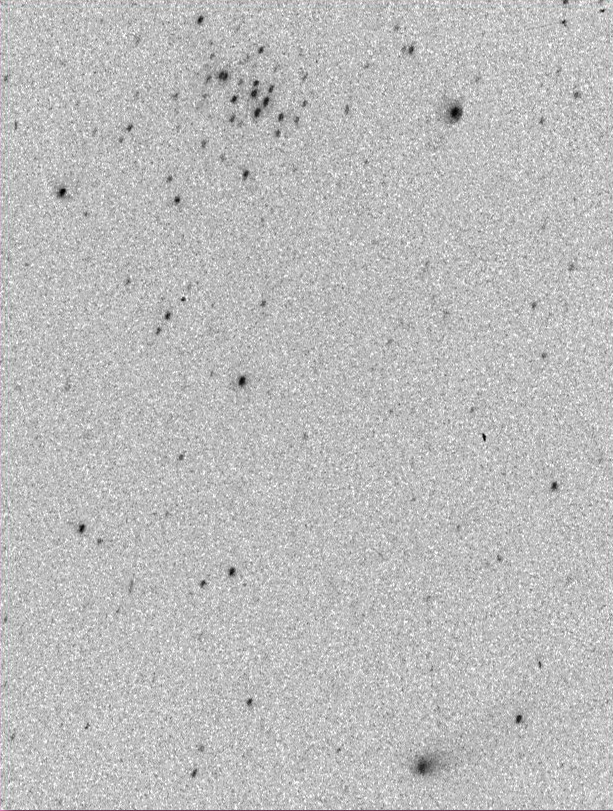 Dal 6 maggio 2004 la cometa C/2001 Q4 (NEAT - Near Earth Asteroid Tracking) era visibile a occhio nudo dopo il tramonto, volgendo lo sguardo verso Ovest, nella costellazione del Cancro; nella seconda parte del mese la cometa si è poi spostata nella costellazione dell'Orsa Maggiore. Nell'immagine la cometa è ripresa da Albiano (TN) con obiettivo 58 mm f/1.2, pellicola T-max 400, tempo di posa 10 secondi. (foto Ochner)